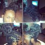 Jumbo Senegalese Twist