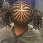 Feed-in Braids