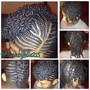 Mini Braids/Twists (Natural Hair)