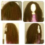 2 to a head Senegalese Twist