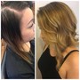 Blow dry with Toner/ Gloss