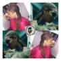 Medium classic Individual Braids