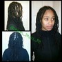 Loc start/comb twist