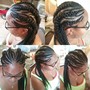 Stitch Feeder braids/ French braids