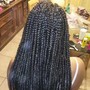 Tree Braids