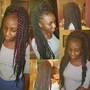 Stitch Feeder braids/ French braids