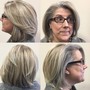 Short/Fine hair shampoo, cut, blow dry