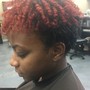 Wash and Wig Braid Up/Braid removal