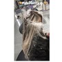 Full Balayage(Full Hair Painting)