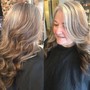 Blow dry with Toner/ Gloss