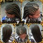 Senegalese Twist- Small