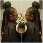 Box Braids (Undercut/Sides shaved) SMALL