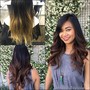 Partial Highlights 