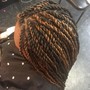 Havana  twists