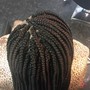 Goddess locs mid back