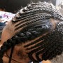 Feed In Braids  (adults)