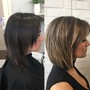 Root Touch Up and Haircut