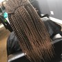 Knotless Jumbo Box Braids