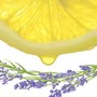 Honey Lavender Body Exfoliation