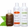 Slay n Beat Hair Growrh and Anti itch Elixir