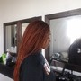 partial highlights