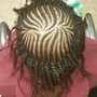 Loc retwist