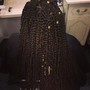 Box Braids