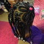 Medium Size Box Braids