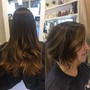 Root Touch Up, Partial Highlights