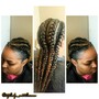 Feed in Braids