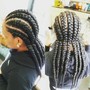 Feed-in braids