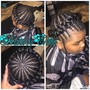 Crochet Braids/Twist