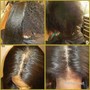 Starter Locs