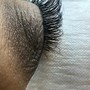 Eyelash Fill