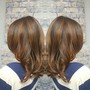 Balayage (Partial)