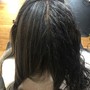 Color Touch Up (roots only)