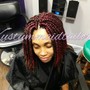 1 Jumbo Halo Crown w/ Extensions