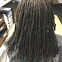 Retwist W/ Detox Cleanse + Conditioner Treatment