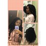 Crochet (freetress curly/wavy)