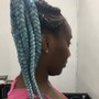 Small braided feedin ponytail/ bun