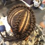 Feed-in Braids