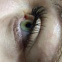 VOLUME Eyelash Extensions