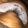 Bottom Lashes