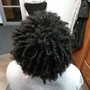 Natural Hair Shampoo and Twist Out