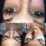 Volume lash training