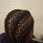 Starter dreadlocks