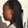 Kid's Box Braids 10 yrs to 12