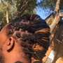 Starter Locs