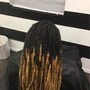 Root Touch Up