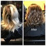 Root Touch Up